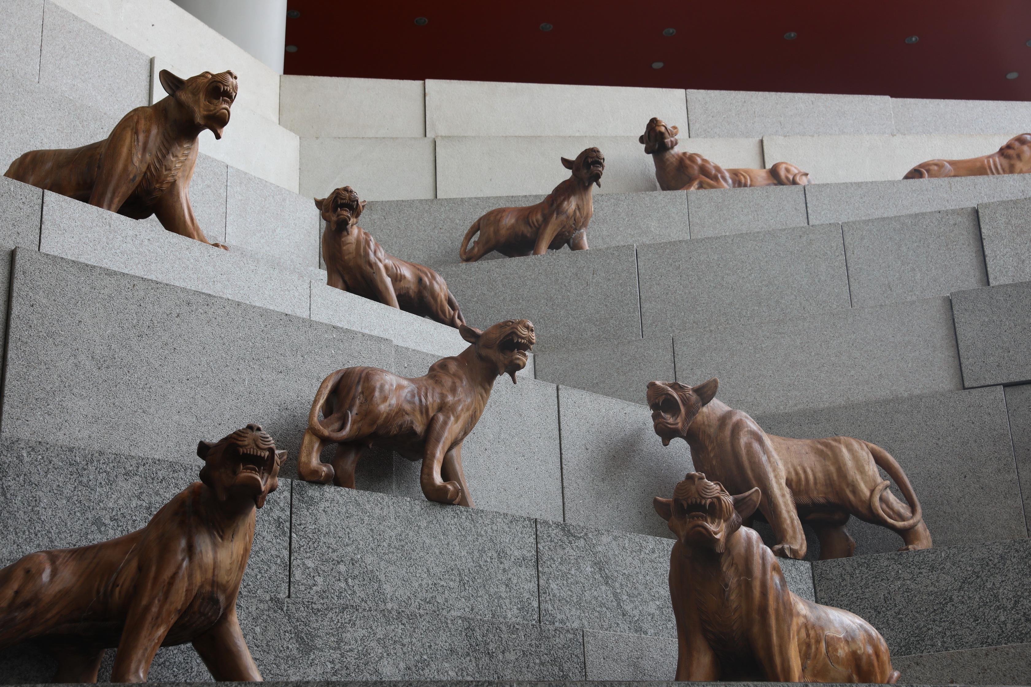 2020 02 03 18 17 52 Canon EOS 5D Mark IV 0052